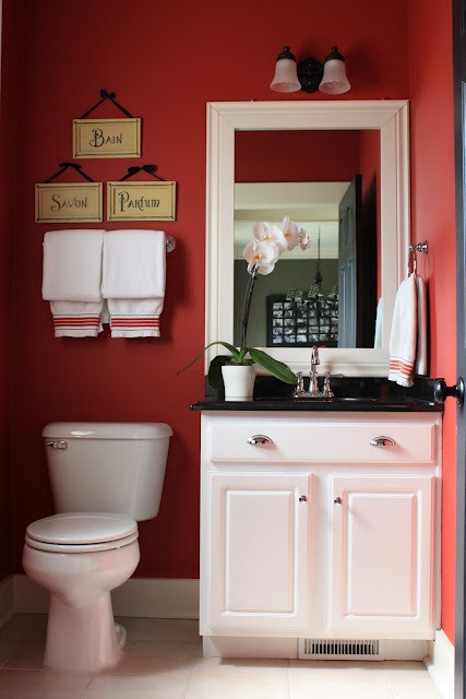 Zugraveala rosie combinata cu obiecte sanitare albe
