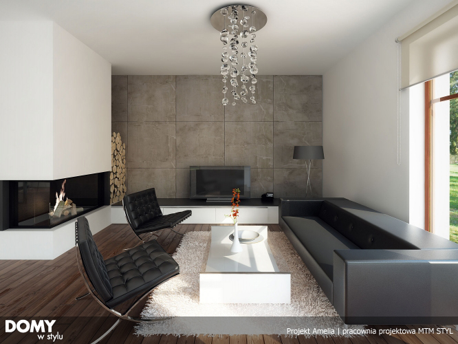 Idee amenajare living modern