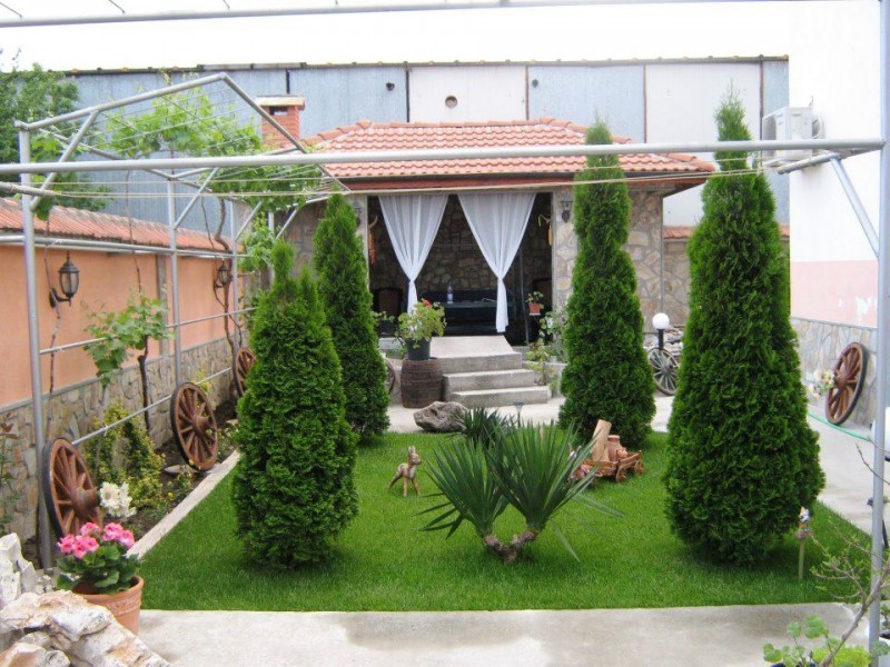 Gradina mica cu arbusti