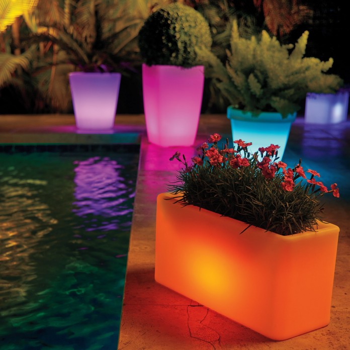 Supoturi flori iluminate multicolor
