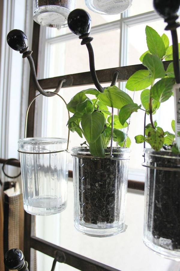 Borcane cu plante aromatice bucatarie