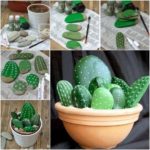 Cactusi din pietre