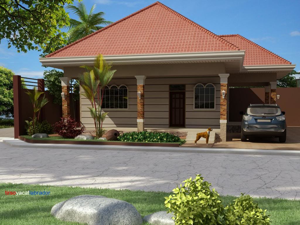Casa parter cu garaj deschis